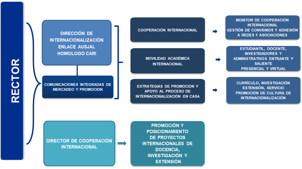 Organigrama funcional Internacionalización